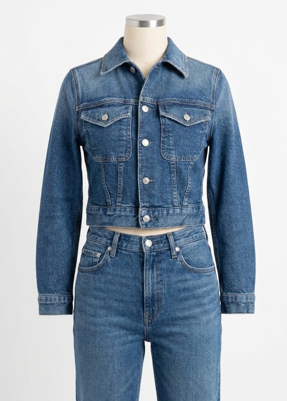 NEW CITIZENS OF HUMANITY charisse shrunken denim jacket in briar